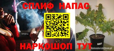 spice Будённовск