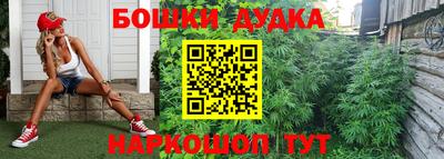 spice Будённовск
