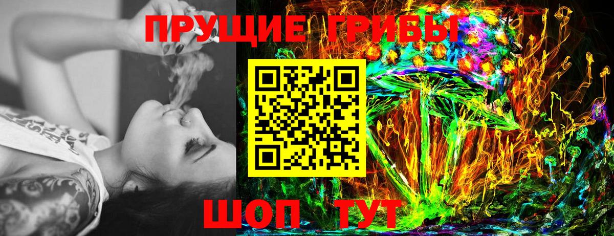 Псилоцибиновые грибы Psilocybe Георгиевск
