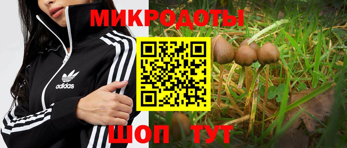 Георгиевск  Псилоцибиновые грибы MAGIC MUSHROOMS  Псилоцибиновые грибы MAGIC MUSHROOMS  Вход с VPN 