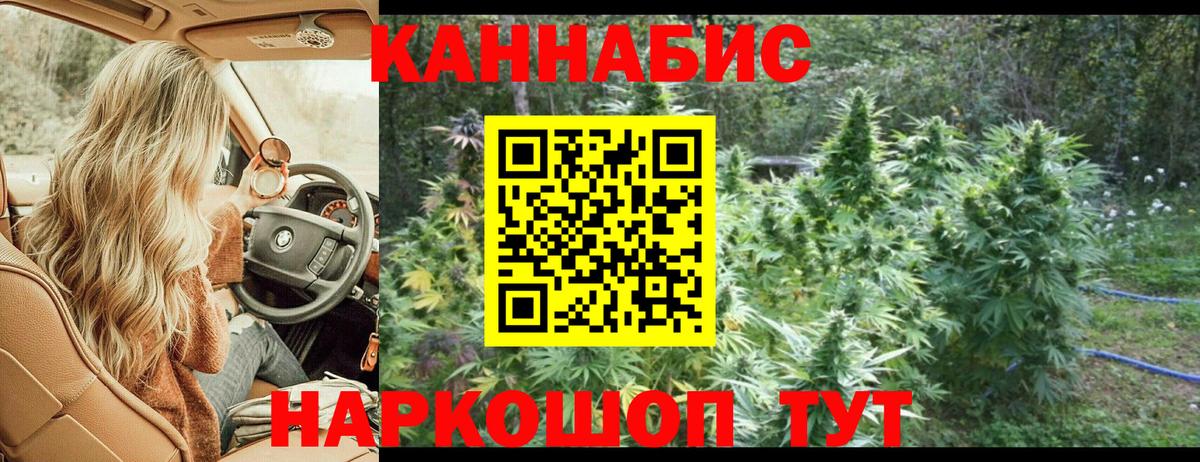 Бошки Шишки Bruce Banner  Вход с VPN  Шишки марихуана ГИДРОПОН  Каннабис MAZAR  Георгиевск 